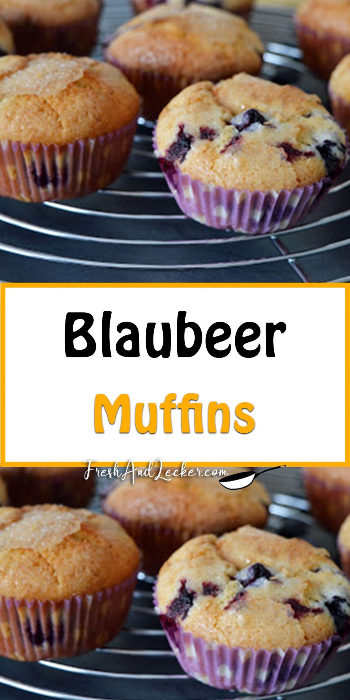 Blaubeer Muffins - Fresh Lecker